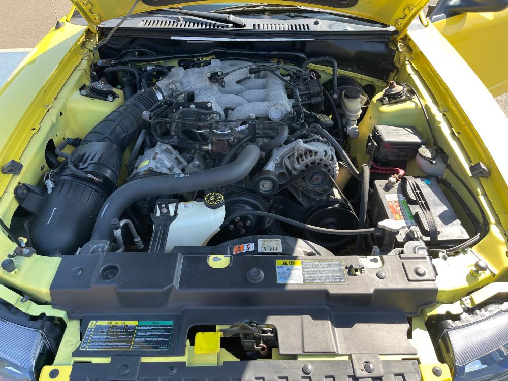 2003 Yellow /Gray Ford Mustang Convertible (1FAFP40413F) with an 3.8L V6 OHV 12V engine, Manual 5-speed transmission, located at 1283 SE Sedgwick Road, Port Orchard, WA, 98366, (360) 876-9300, 47.505535, -122.635643 - **Dealer Statement: The Trade Store offers the nicest previously owned inventory you'll find of cars, vans, trucks and more. We offer many banks, credit unions and special financing options to fit your needs regardless of your credit, as well as sourcing of specific vehicles for qualified customers - Photo #17